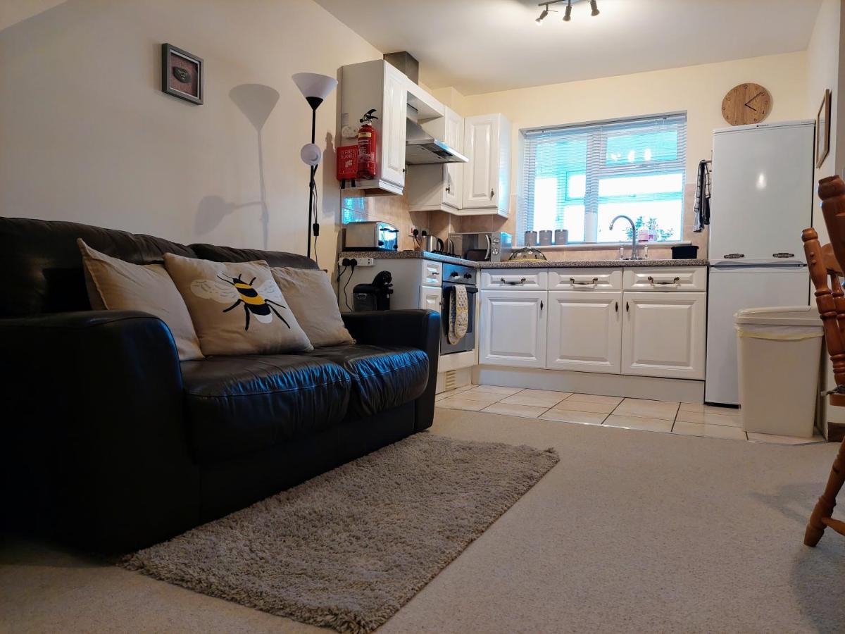 The Beehive - Self Catering In The Heart Of The Forest Of Dean Whitecroft Dış mekan fotoğraf