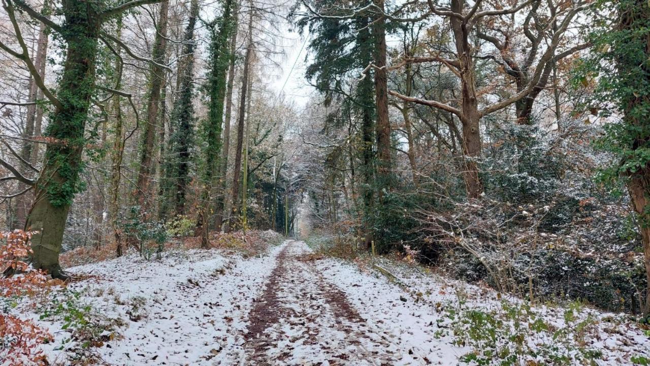 The Beehive - Self Catering In The Heart Of The Forest Of Dean Whitecroft Dış mekan fotoğraf